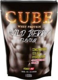 Power Pro CUBE Whey Protein (1000 г)