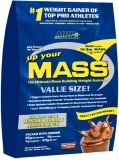 MHP Up Your Mass (4308 г)
